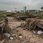 Horta urbana em Brasília com falhas persistentes, plantas murchas e lixo, destacando problemas na agricultura urbana expostos pela CLDF.