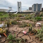 Horta urbana degradada em Brasília, com plantas secas e solo rachado, alertando para deficiências graves na agricultura do DF.