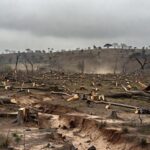 Floresta amazônica desmatada no Brasil, ilustrando crise ecológica persistente e homenagem a agentes ambientais.