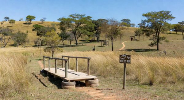 Paisagem do Parque Distrital do Recanto das Emas com obras de preservação ambiental no Cerrado brasileiro.