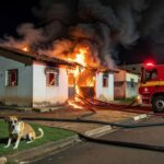 Incêndio controlado em residência na Candangolândia, com viaturas de bombeiros e animais resgatados em Brasília.