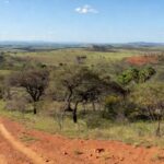 Paisagem de cerrado em Brazlândia, área de 1.600 hectares proposta para parque pelo Instituto Brasília Ambiental.