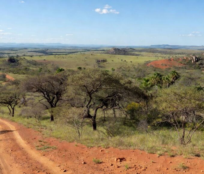 Paisagem de cerrado em Brazlândia, área de 1.600 hectares proposta para parque pelo Instituto Brasília Ambiental.
