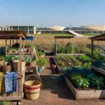 Foto: Daniela Viegas