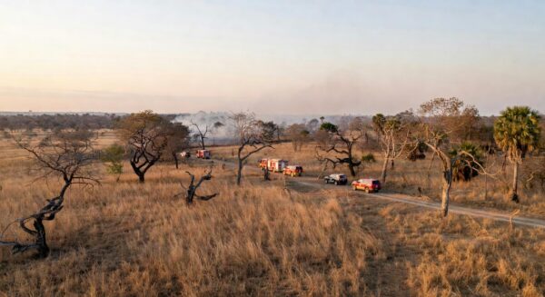 Operação Verde Vivo combate incêndios no Cerrado do Distrito Federal