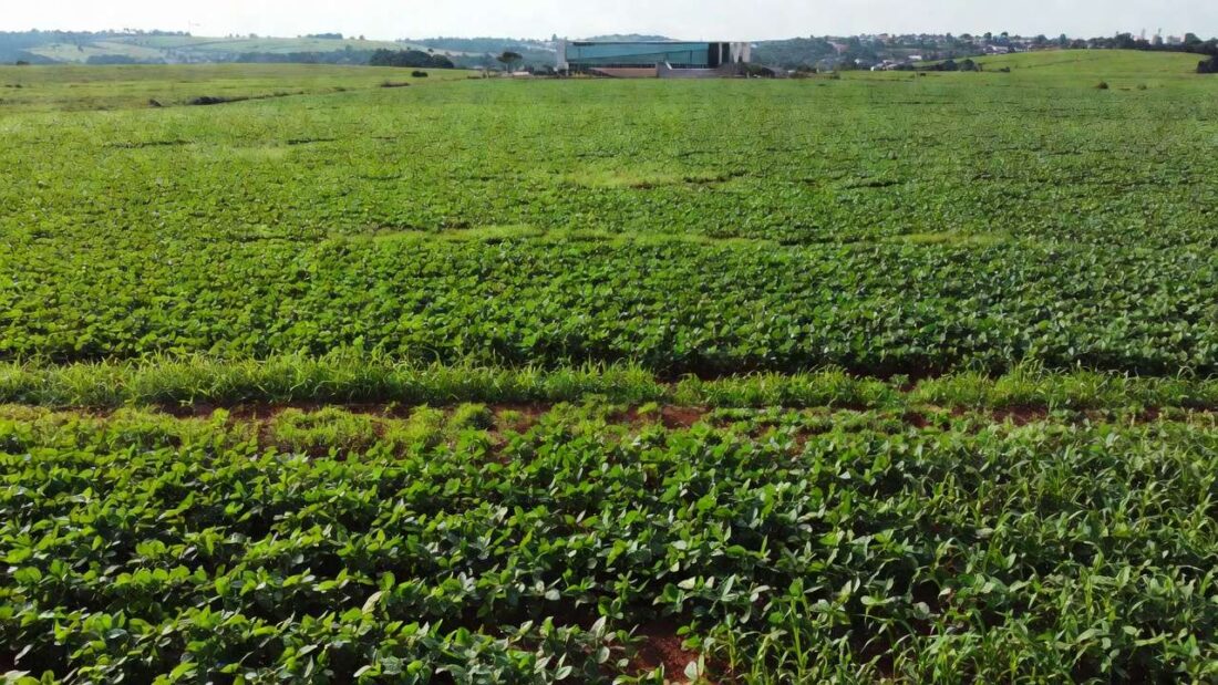 Câmara de São Sebastião com plenário e plantações de agronegócio ao fundo