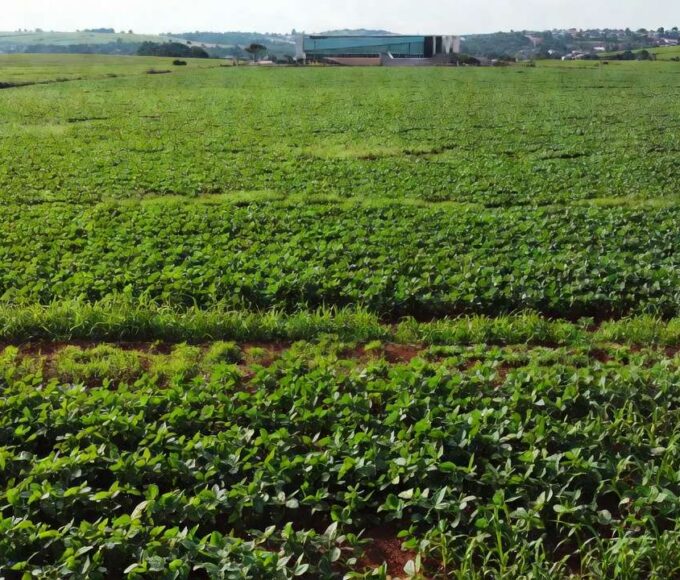 Câmara de São Sebastião com plenário e plantações de agronegócio ao fundo