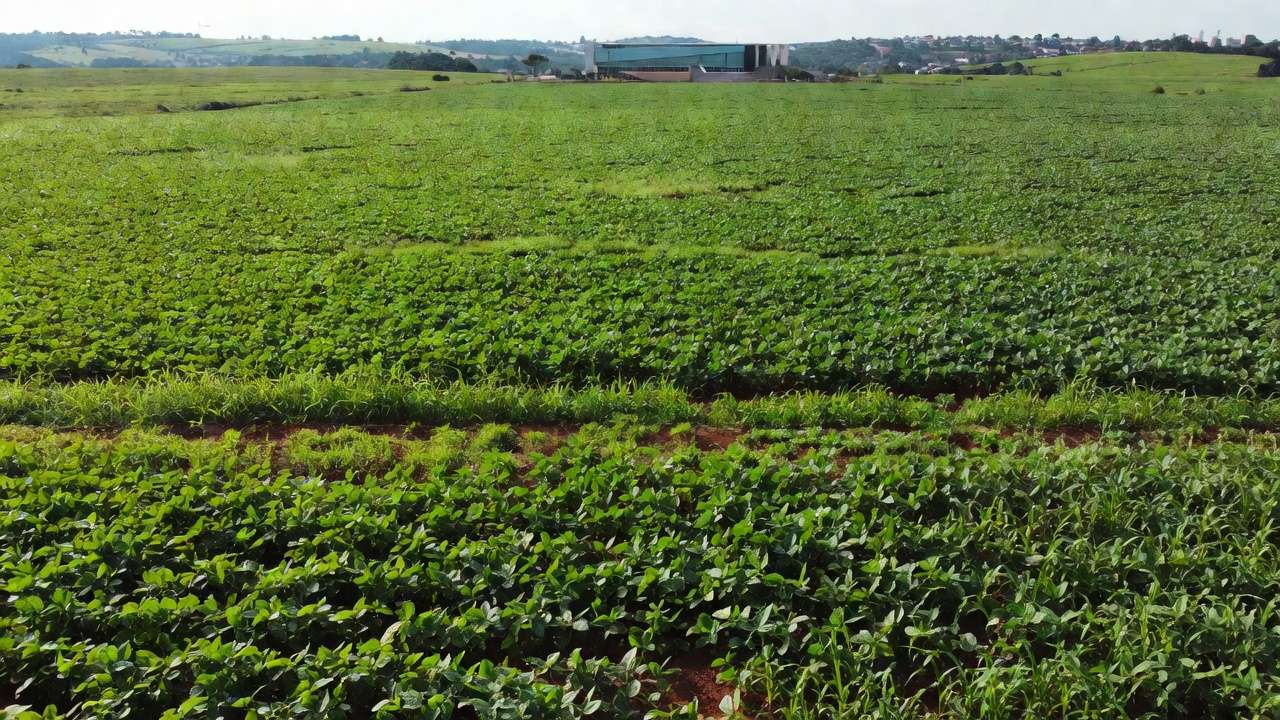 Câmara de São Sebastião com plenário e plantações de agronegócio ao fundo