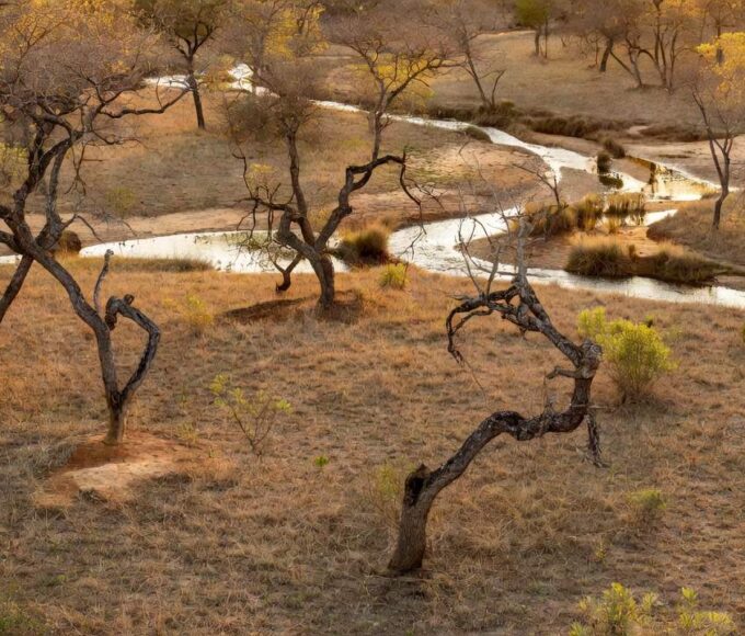 Área degradada do Cerrado no DF aprovada para o Parque Lobo-Guará