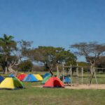 Colônia de férias TJDFT para filhos de presos em área recreativa de Brasília