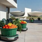 Cestas verdes com alimentos sendo entregues automaticamente no DF para beneficiários do Cartão Prato Cheio