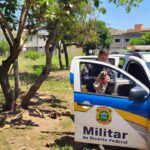 Sagui ferido resgatado pela PMDF no Núcleo Bandeirante, Brasília
