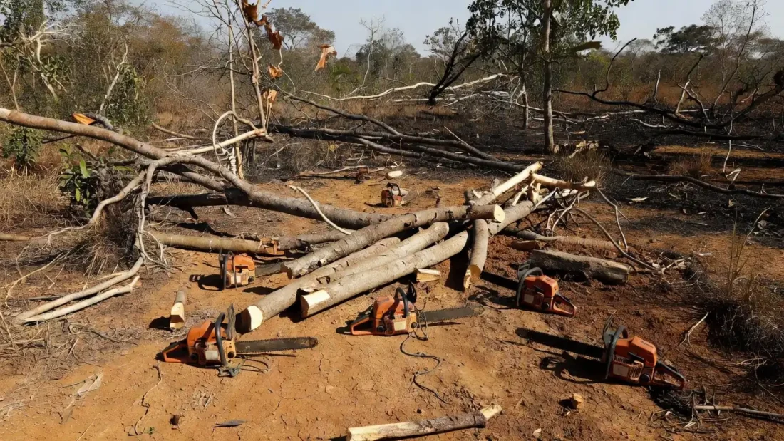 Motosserras apreendidas em área de desmatamento irregular em Arniqueiras pela PMDF