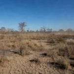 Paisagem do Cerrado no DF com incêndios e fumaça após 54 dias sem chuva