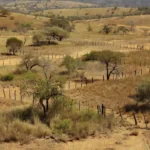 Paisagem rural no Cerrado do DF representando combate à grilagem