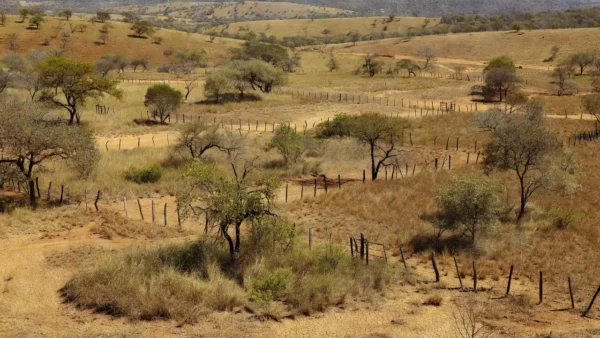 Paisagem rural no Cerrado do DF representando combate à grilagem