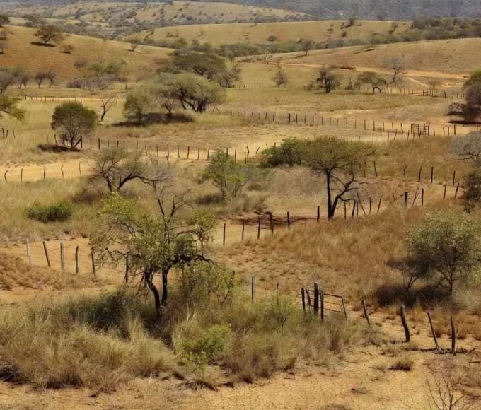 Paisagem rural no Cerrado do DF representando combate à grilagem