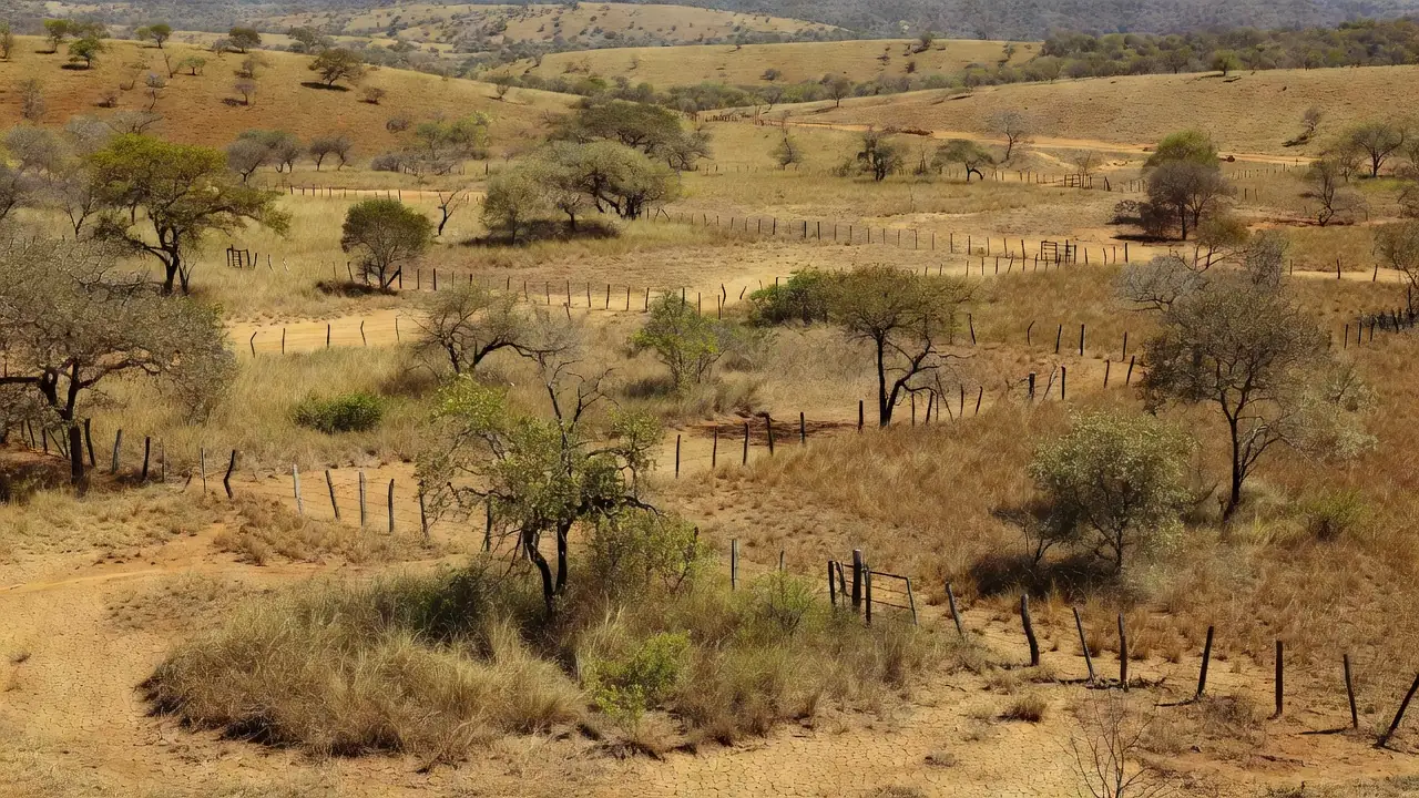 Paisagem rural no Cerrado do DF representando combate à grilagem